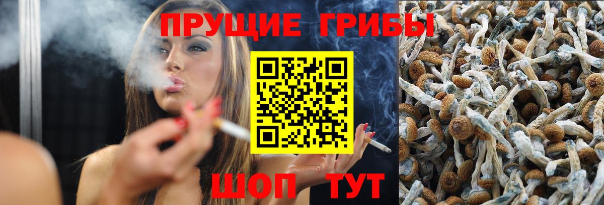 купить наркоту  Галлюциногенные грибы мицелий  Вход с VPN  Псилоцибиновые грибы Cubensis  Кузнецк 